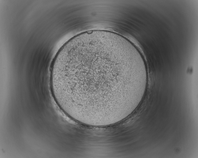 X0000114661096200911101337