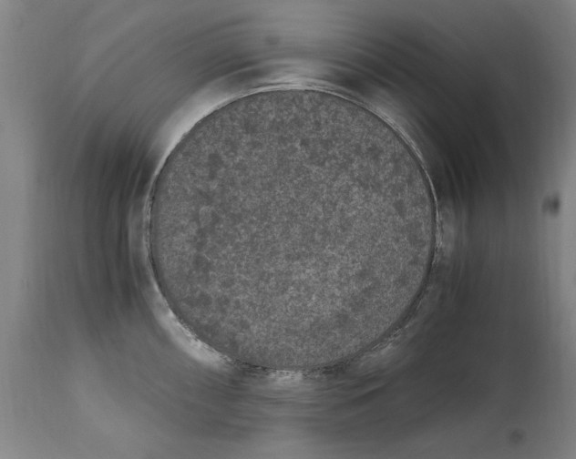 X0000114661098200911101337