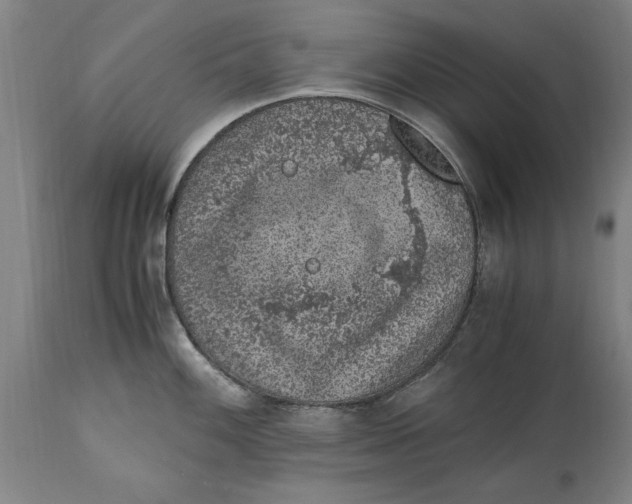 X0000114661100200911101337