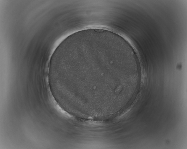 X0000114661102200911101337