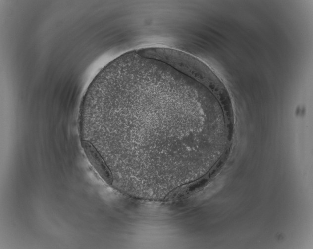 X0000114661104200911101337