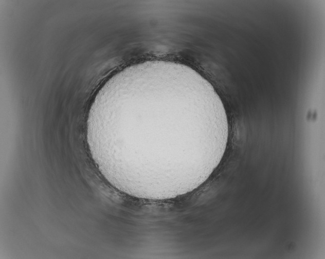 X0000114661105200911101337