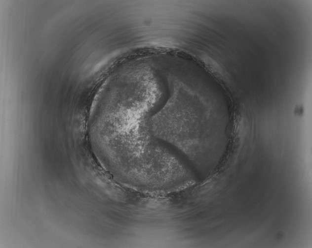 X0000114661110200911101337