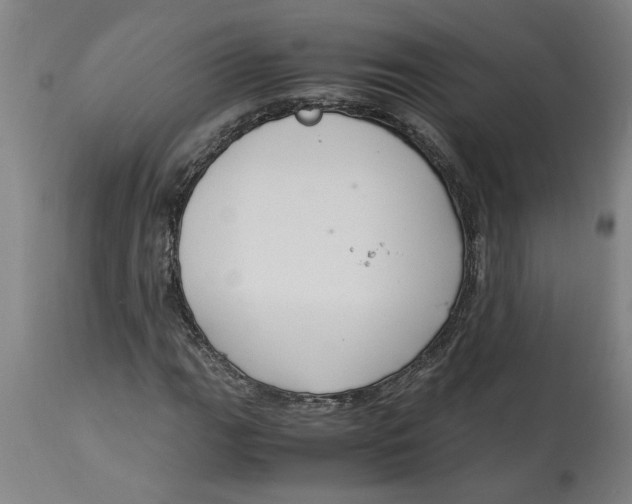 X0000114661111200911101337