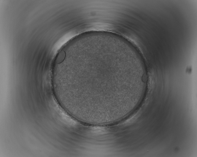 X0000114661114200911101337