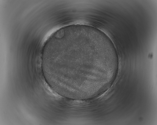 X0000114661115200911101337