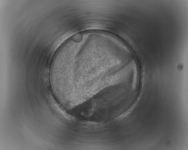 X0000114661121200911101337