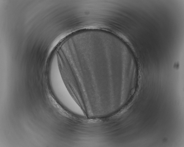 X0000114661122200911101337