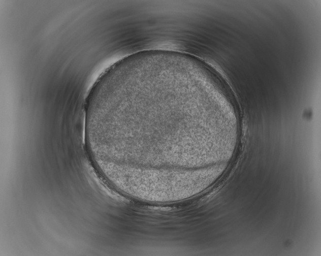 X0000114661123200911101337