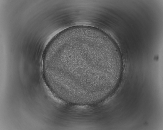 X0000114661125200911101337