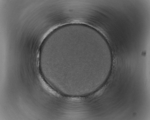 X0000114661126200911101337