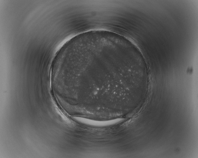 X0000114661127200911101337