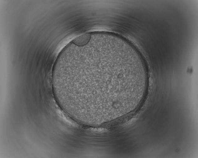 X0000114661129200911101337