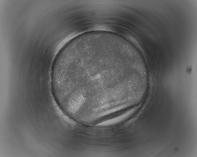 X0000114661133200911101337