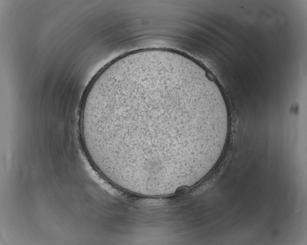 X0000114661134200911101337