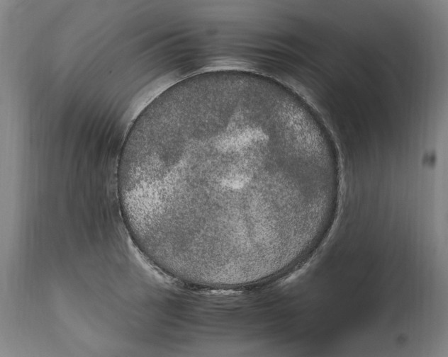 X0000114661137200911101337