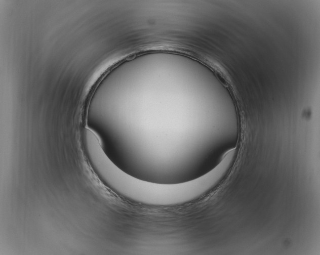 X0000114661138200911101337