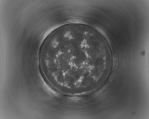 X0000114661141200911101337