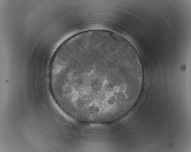 X0000114661142200911101337