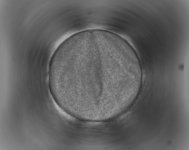 X0000114661143200911101337