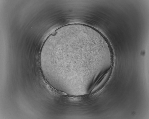 X0000114661145200911101337