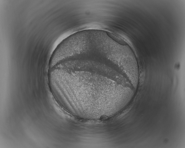 X0000114661146200911101337