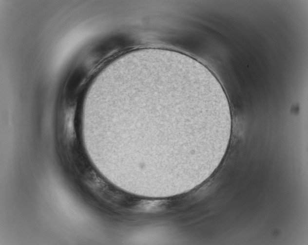 X0000114661150200911101337