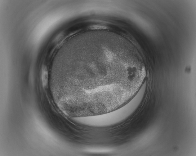 X0000114661151200911101337