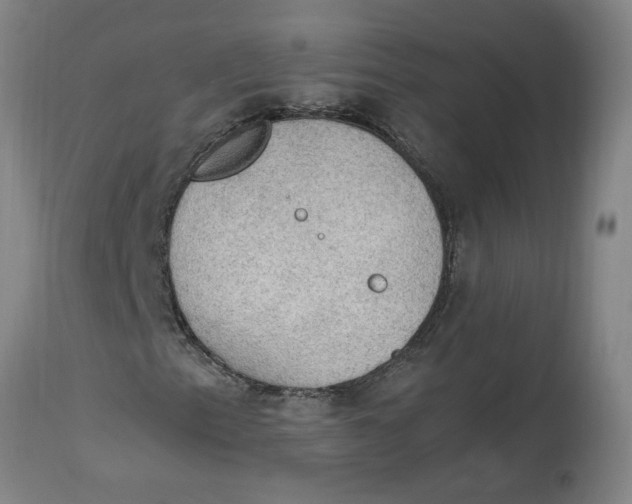 X0000114661153200911101337