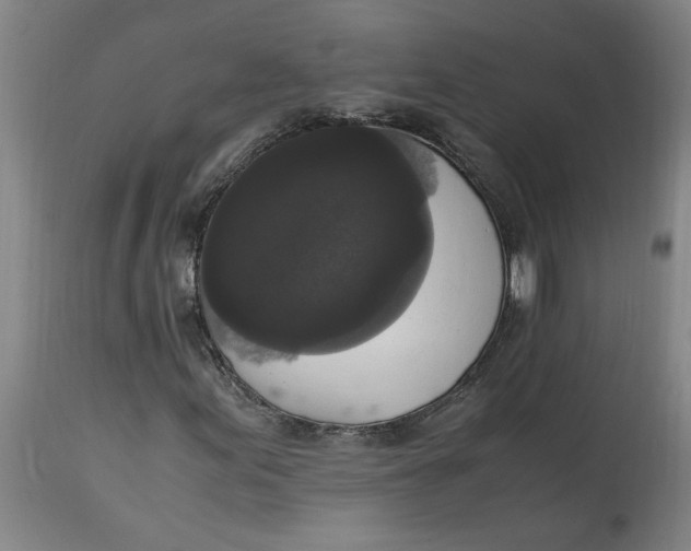 X0000114661155200911101336