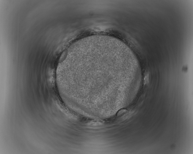 X0000114661156200911101336