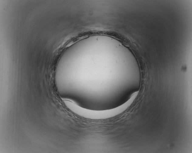 X0000114661157200911101336