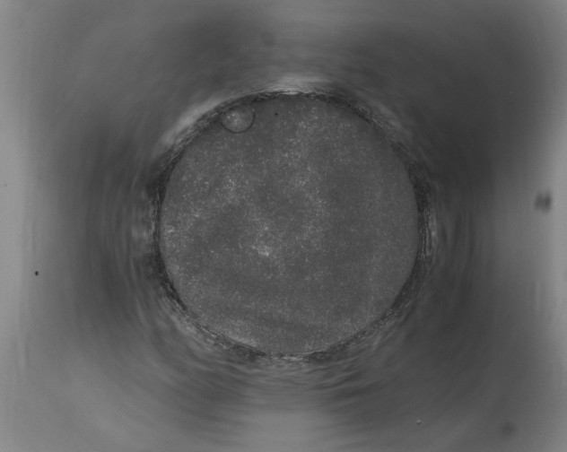 X0000114661158200911101336