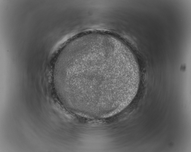 X0000114661159200911101336