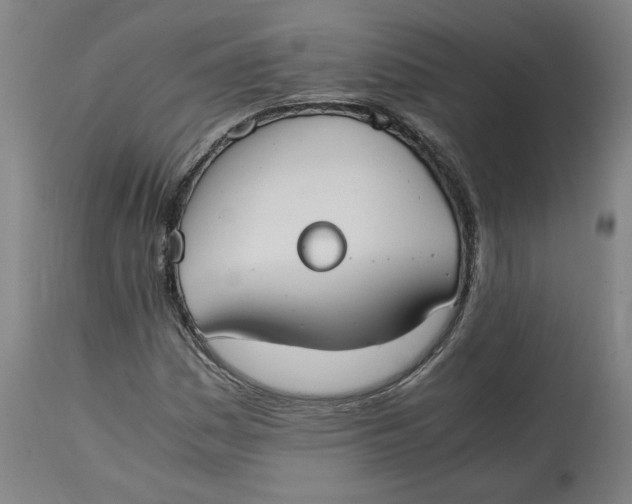 X0000114661161200911101336