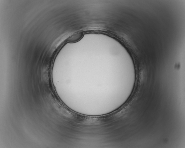 X0000114661162200911101336