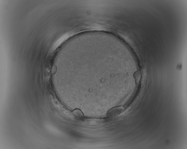 X0000114661163200911101336