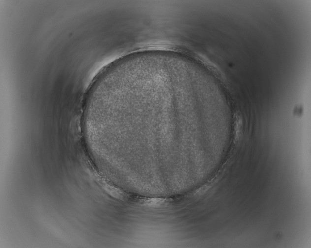 X0000114661166200911101336