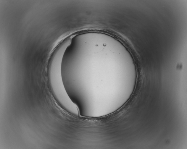 X0000114661168200911101336