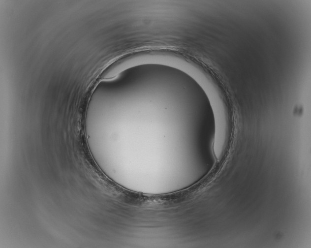 X0000114661169200911101336