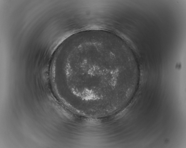 X0000114661170200911101336