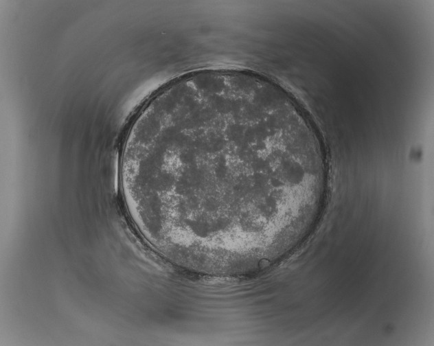 X0000114661171200911101336