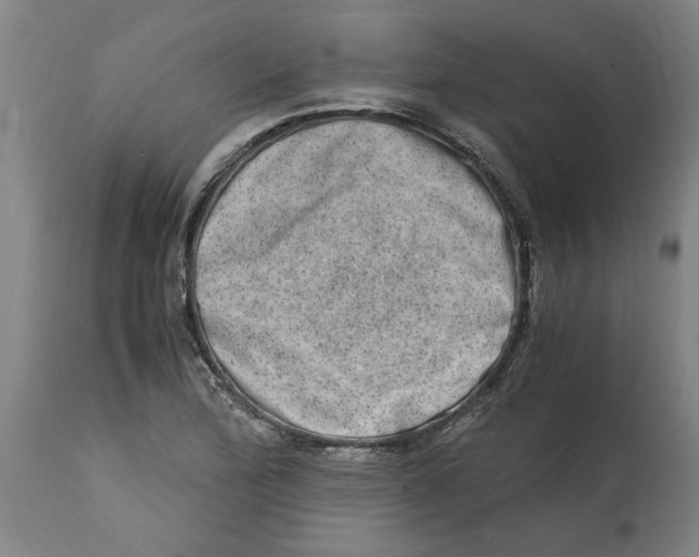 X0000114661172200911101336