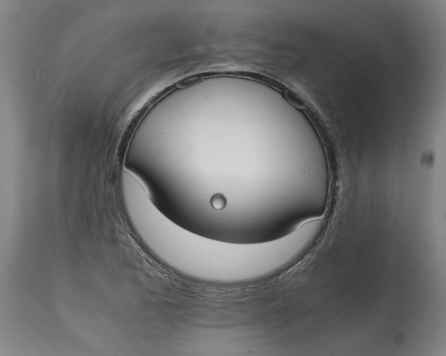 X0000114661173200911101336