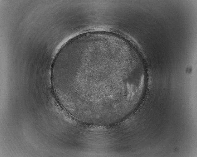 X0000114661174200911101336