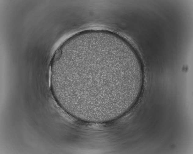 X0000114661175200911101336