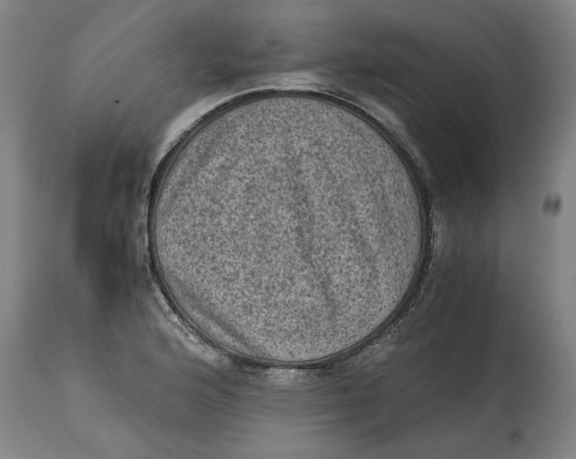 X0000114661176200911101336