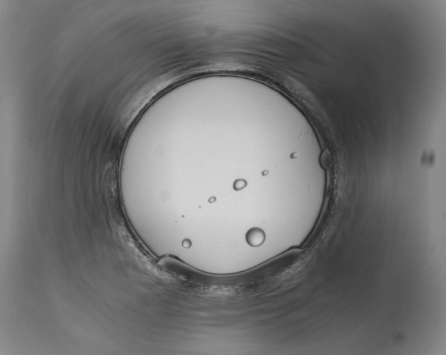 X0000114661177200911101336