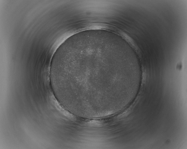 X0000114661178200911101336