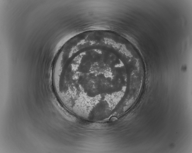 X0000114661179200911101336